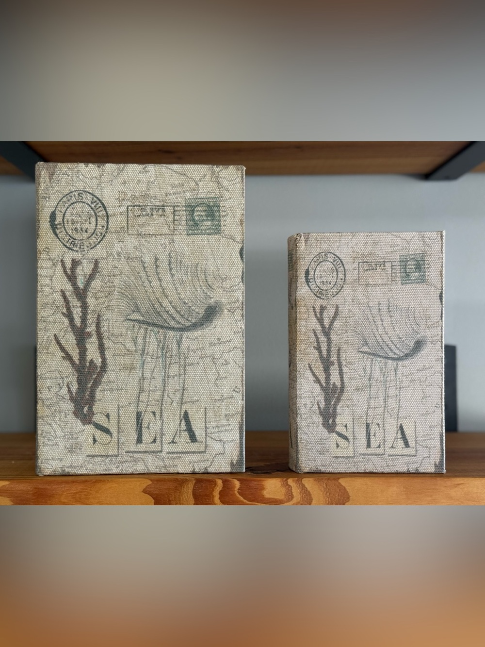 Coastal Seashell Faux Book Storage Boxes Set of 2